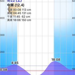 ハマチ、太刀魚